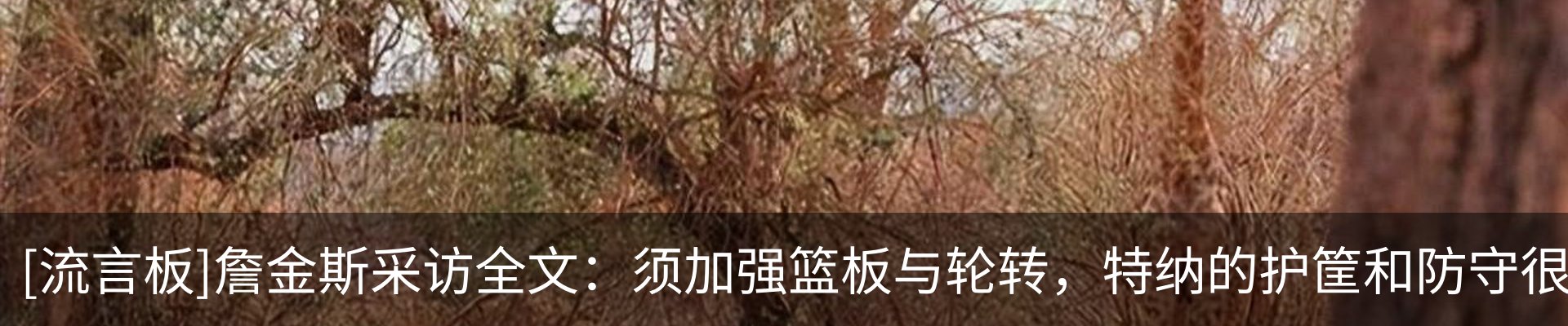 资讯动态